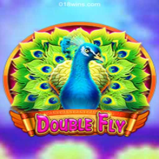 DoubleFly: A Thrilling Adventure in the Skies